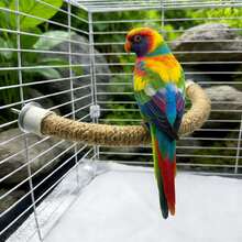 Parrot Sisal Rope Perch, Parrot Toy Perch, Ladder Swing Chew Scratch Toy For Birds - Multicolor - View 2