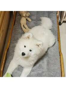 Multi-Size Thick & Warm Pet Bed Pad, Suitable For Dogs, Cats, Squirrels, Hamsters, Rabbits And Other Small/Medium/Large Pets, All Season Use - Grey - View 7