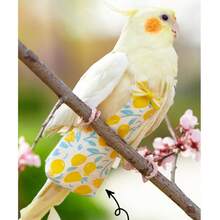 1pc Elastic Ultralight Bird Release Leash, Bird Diaper, Parrot Harness Leash, Parrot Walking Leash, Parrot Clothing, Suitable For Cockatiel, Timneh African Grey, Sun Conure And Other Parrots