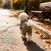 Thick Corduroy 4-Leg Leash Padded Coat With Pockets For Pets, Autumn/Winter