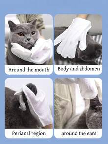 5/10pcs Pet Wipes, Waterless Pet Grooming Gloves, Pet Wet Wipes, Waterless Pet Grooming Gloves, Cat Bathing - Multicolor - View 8