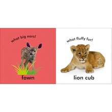 Baby Touch and Feel: Baby Animals - como en la foto - Ver 5