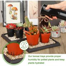 2 Pack Bonsai Humidity Tray Drip Tray Rectangular Plastic Plant Water Catcher Tray Plant Saucers for Indoors and Outdoors Cactus Succulents Bonsai Tree Stone Not Included 7.8 x 5.5 Inch - comoseveenlasfotos - Ver 5