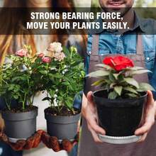 Juego de 6 platillos transparentes para plantas 4 6 8 10 12 pulgadas bandeja redonda para agua de plástico resistente para macetas en interiores y exteriores 6 pulgadas transparente - Claro - Ver 4