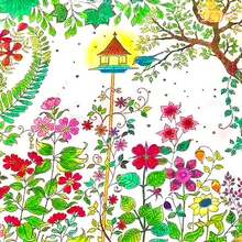 1本《秘密花园》涂色书，附赠彩色铅笔、涂鸦和绘画书 - 彩色 - 查看 10