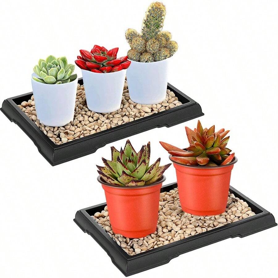 2 Pack Bonsai Humidity Tray Drip Tray Rectangular Plastic Plant Water Catcher Tray Plant Saucers for Indoors and Outdoors Cactus Succulents Bonsai Tree Stone Not Included 7.8 x 5.5 Inch - comoseveenlasfotos - Ver 1