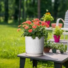 Pot Trays - White - View 4