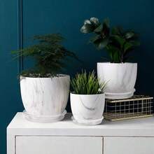 Juego de 6 platillos transparentes para plantas 4 6 8 10 12 pulgadas bandeja redonda para agua de plástico resistente para macetas en interiores y exteriores 6 pulgadas transparente - Claro - Ver 6