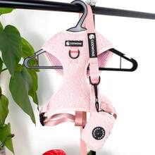 3pcs Adjustable Chest Harness, Leash And Poop Bag Holder Set, Comfortable Teddy Bear Design Harness Suit For Training And Walking Small/Medium Pets