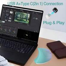 Vassink - mouse ergonómico inalámbrico recargable USB A+tipo C 2 pulgadas 1 conexión 800/1200/1600 DPI 6 bos túnel carpiano de 2.4 GHz ras verticales para computadora portátil-0002 - Morado - Ver 2