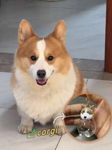 Bộ 1/5 hộp đựng kỷ niệm lông thú cưng trong suốt, có thể dùng làm mặt dây chuyền, móc khóa, vật trang trí kỷ niệm, quà tặng cho mèo cam, mèo tam thể, mèo Teddy, mèo Pomeranian, mèo Chow Chow, mèo Corgi, mèo Dalmatian và nhiều giống thú cưng khác. - Trong sáng - Xem 10