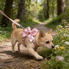Mềm mại & Dễ thương! Dây đeo ngực cho thú cưng màu hồng bóng bẩy với nơ lớn (Có nhiều kích cỡ khác nhau, vui lòng mua theo nhu cầu). Thu hút ánh nhìn khi ra ngoài, trang trí nơ 3D lớn, dây đeo ngực có thể điều chỉnh, phụ kiện dây dắt chất lượng cao dành cho việc dắt mèo và chó đi dạo. - Nhiều màu - Xem 5