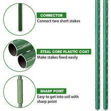 Fencing, Trellises, & Gates