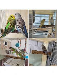 1/2/3/4/5/10pcs Natural Spiked Wood Bird Perch, Parrot Claw Grinding Stick, Cage Platform Toy, Suitable For Cockatiel, Parrotlet, Bourke's Parrot, Lovebird - Brown - View 1