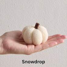 Knit Pumpkins Set Of 5, Fall Favorite, Gifts Women, Autumn Bowl Fillers Fall Farmhouse Tier Tray Decor, Decorative Pumpkins Friend Autumn Set - Hoa tuyết nhiều kích cỡ - Xem 6