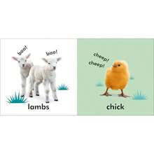Baby Touch and Feel: Baby Animals - como en la foto - Ver 4
