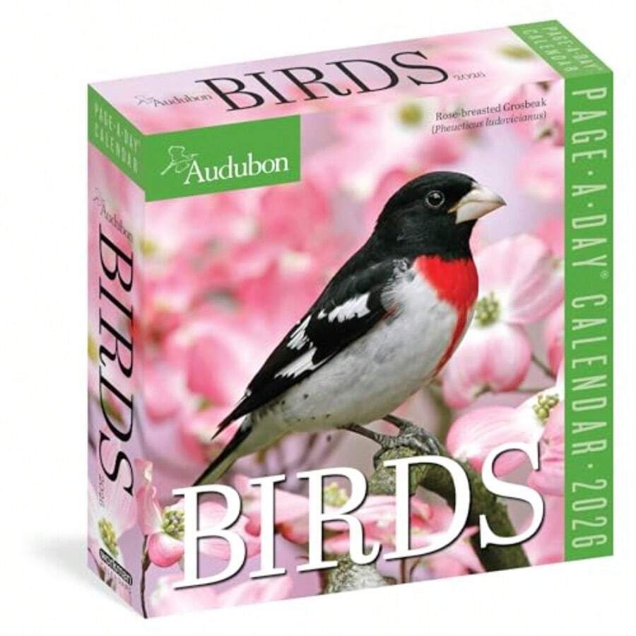 Calendars - 사진처럼 - 보기 1