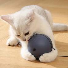1pc Automatic Electric Cat/Dog Interactive Ball Toy, Self-Rolling Toy For Cats And Dogs