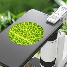 手持便携式玩具显微镜，带LED照明和支架，60倍至120倍放大倍率，非常适合家庭探索、亲子互动，是节日、生日、圣诞节和教育用途的理想礼物。 - 彩色 - 查看 6