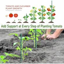 Kit de 48 estacas de jardín: incluye 12 juegos de varillas de fibra de vidrio para plantas y accesorios para bricolaje 4 pies 5 pies 6 pies 7 pies para tomate verduras suministros de - Verde - Ver 3