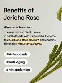 Abib 胶原蛋白眼霜（管装），针对黑眼圈、眼袋和细纹，30毫升/1.01液体盎司，韩国化妆品 - 30毫升 - 查看 11