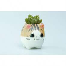VanEnjoy Handmade Mini Cute Cartoon Ceramic Succulent Pots Planters Cat with Drainage Hole Flower Pot Ceramic Ornaments Cat Gifts for Cat Lovers Office - Pack of 5 - Blanco - Ver 8