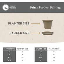 The HC Companies - Platillos Redondos Prima para macetas Plato de plástico para Exteriores e Interiores bandejas Tradicionales para Drenaje de Agua Bandeja Duradera para Plantas 12 Pulgadas - GrisClido - Ver 5