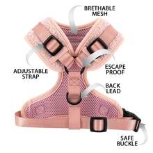 3pcs Adjustable Chest Harness, Leash And Poop Bag Holder Set, Comfortable Teddy Bear Design Harness Suit For Training And Walking Small/Medium Pets