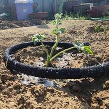 Atlantic Garden Staples de 4 pulgadas acero inoxidable resistente paquete de 20 - Plateado - Ver 5