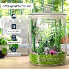 Paquete de 2 tarros de galletas tarro de vidrio de 1 galón con tapas herméticas tarro grande de boca ancha para cocina despensa y lavandería juegos de recipientes de boticario de vidrio - Por supuesto - Ver 6