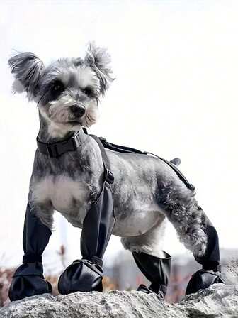 1 set hundskyddsskor med remmar, koppelstövlar för utomhusbruk, vattentäta promenadskor, halkfria tassskydd, lämplig för små till medelstora hundar