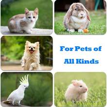 Dog Clicker For Training With Wrist Strap, Training Clicker For Puppy, Cat, Potty, Bird, Horse, Pet, Dog Clicker Trainer Training Tools, Behavior Aids, 2 Packs Black And Green - Multicolor - View 3