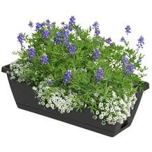 Extra-Large Balcony Flower Pot Load-Bearing Durable Resin Material For Office Home Garden Balcony - Black - View 5