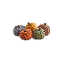 Knit Pumpkins Set Of 5, Fall Favorite, Gifts Women, Autumn Bowl Fillers Fall Farmhouse Tier Tray Decor, Decorative Pumpkins Friend Autumn Set - 迷你大地色系套裝 - 查看 1