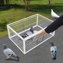 Heavy Duty Metal Pigeon Cage With Auto-Close Door - Secure Lock System, Durable Iron Structure, Sturdy Rectangular Bird Cage With Ventilation, Suitable For Pigeons, Parrots, Parakeets - Indoor/Outdoor Use, Easy To Clean Design - 40*30*26 Two Imported - View 6