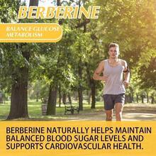 Bunkell Berberine Plus Supplement - Broccoli Seed Complex Extract - Supports Cardiovascular, Gut & Immune Health - 120 Capsules - 1 chai - Xem 5