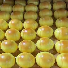 柔软粘稠的牛奶芝士蛋糕粘液玩具，创意慢回弹减压小礼物，适合送给朋友和家人 - 彩色 - 查看 9