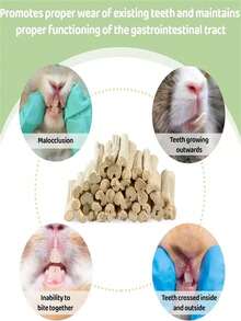 100g Natural Sweet Beige Bamboo Chew Toy - Suitable For Small Pets (Rabbits, Guinea Pigs, Hamsters, Gerbils) - Valentine's Day Pet Owner Gift - Multicolor - View 5