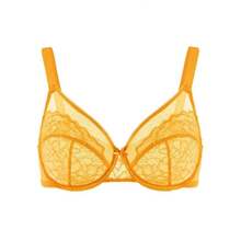 HSIA Enchante Floral Lace Underwire Plus Size Unlined Full Coverage Bra TikTokShopBlackFriday - Cadmium Yellow - View 4