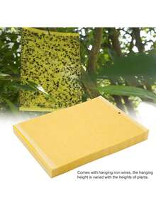 EstiloTendenciaGarosa 50 Unids Tablero De Mosquitos Doble Cara Trampas De Insectos Colector Asesino Plagas Pegajosa Para Volar Insecto Planta Como ÁFidos Mosca Blanca MoscasCalidad PremiumVersióN Mejorada