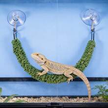 1件逼真藤蔓爬行蜘蛛蜥蜴攀爬绳，带吸盘，蜥蜴攀爬玩具，爬行动物饲养箱装饰秋千，适用于爬行动物和两栖动物