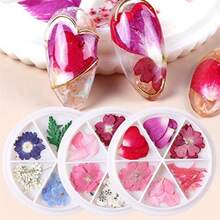 Nail Art Accessories Bread Dried Flowers 25 Pieces Nail Ultra-Thin Type Jewelry Natural Fresh Small Flower Nail Decoration Size: 1 - como en la foto - Ver 2