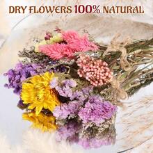 VAIPI - Paquete de 10 ramos de flores secas varias combinaciones de flores secas con tallo mini paquetes de flores naturales secas arreglo floral artificial para florero decoración de boda - Multicolor - Ver 2