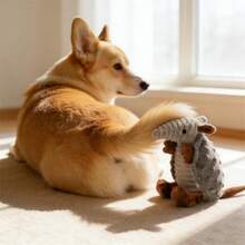 Hollypet 毛绒狗狗发声玩具，填充犰狳狗狗咀嚼玩具，耐用柔软的宠物玩具，有助于清洁牙齿，互动训练和缓解无聊的狗狗玩具，适合小型、中型、大型所有品种的狗狗 - 灰色 - 查看 7