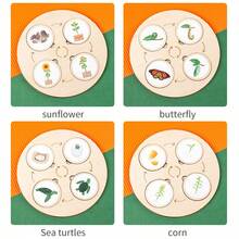 Montessori Life Cycle Logic Puzzle Educational Toy, Children's Nature Cognition Enlightenment Toy, Wooden Intellectual Game Board