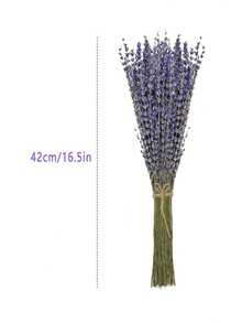 1 Bundle Premium Dried Lavender Flowers - Scented, Decorative Stems For DIY Home Fragrance, Romantic Wedding & Party Decor, Valentines Day Gift, Aesthetic Room Accent - Purple - View 3