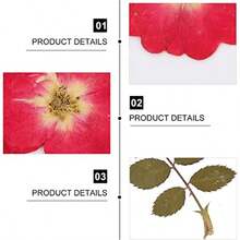Verdaderas flores secas álbumes de recortes DIY DIY Jewelry Craft Home Decorations 36pcs Pressed Dried Flowers Dry Flower Bulk Natural Real Nature Rose Flowers Herb Set Handmade Plant Specimen Acces - como en la foto - Ver 7