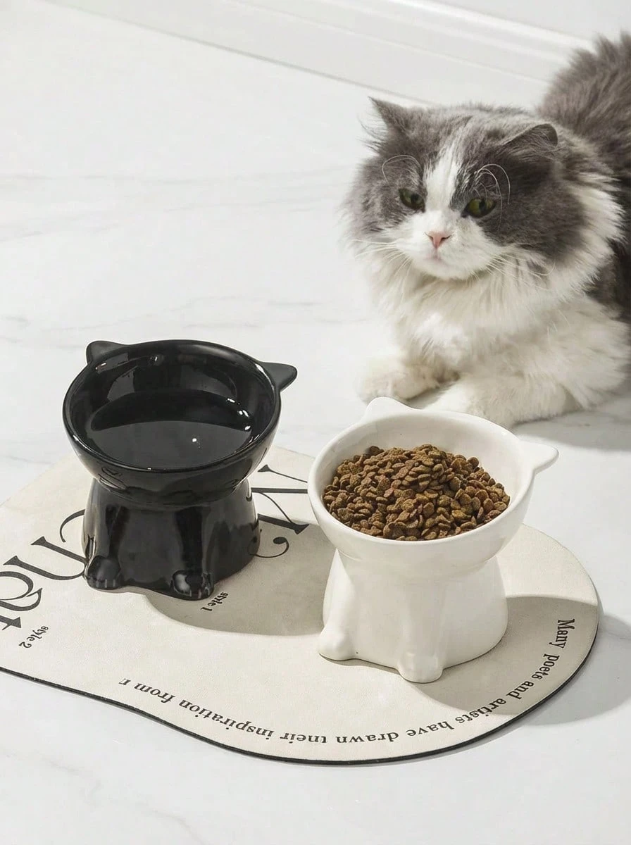 PETSIN 1/2件套猫碗，防呕吐15度倾斜猫托盘，底座稳定，不易翻倒，宠物饮水或喂食站，猫咪配件，猫食碗，猫碗套装，适用于室内猫狗，可在洗碗机中清洗