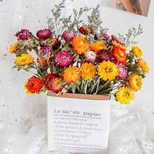 Ramo de flores secas paquete de flores de caspia secas lavanda floral arreglos de flores artificiales para decoración de bodas corona de puerta decoración de jarrón de mesa de fiesta en el hogar natural 17 pulgadas - Natural - Ver 5