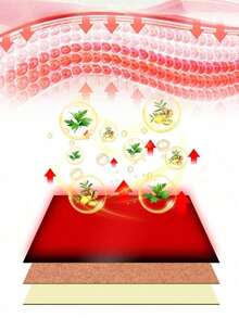 100片自发热姜膏贴，可用于颈部、肩部、腰部、膝盖、手腕及全身，呵护身体 - 老薑貼 - 查看 5